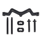 TEAM ASSOCIATED DR10 BODY MOUNT AND POSTS