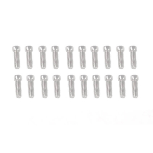 RC4WD SCALE HEX HEAD BOLTS (M2 x 6MM) SILVER